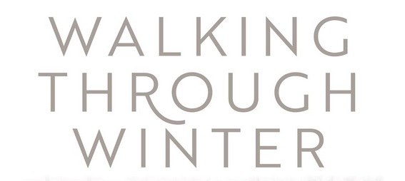 Walking-Through-Winter